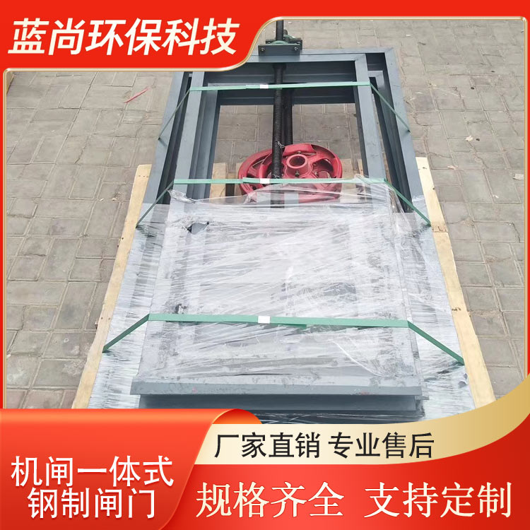 碳鋼整體式閘門(mén)